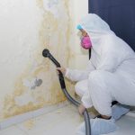 5 Steps to Ensure Proper Mould Remediation