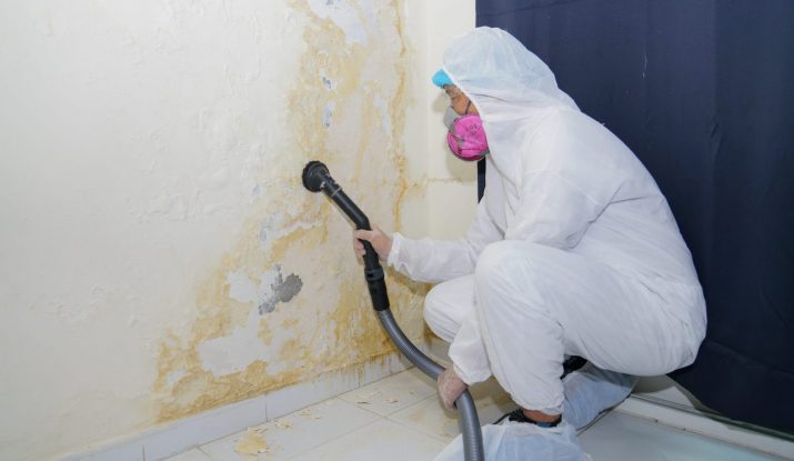 Mould remediation