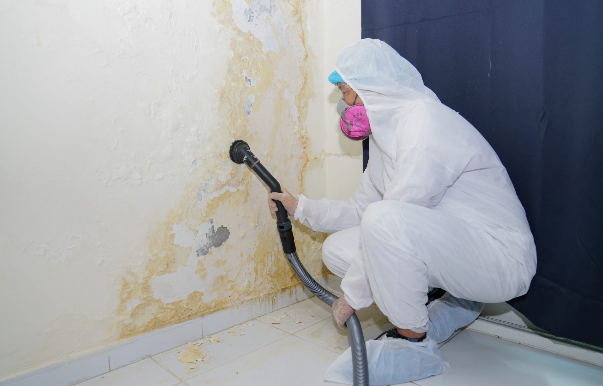 Mould remediation